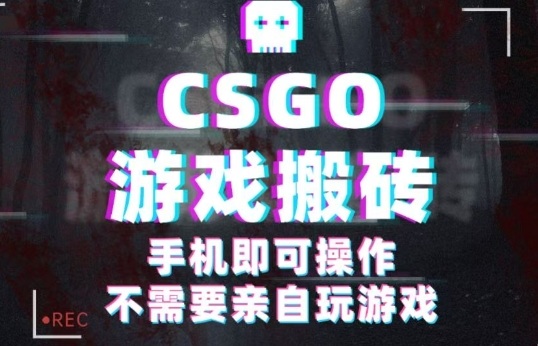 CSGO游戏挂G捡漏，单日扫货5张+，年底小高峰上车可吃肉，手机即可操作，兼职副业创业网创【揭秘】-yingqiuwz