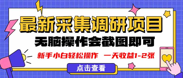 新版采集调研项目，截图上传即可，无脑操作，日收益1-2张-yingqiuwz